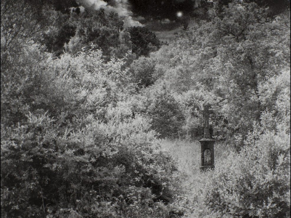 The Cross Under the Apple Tree