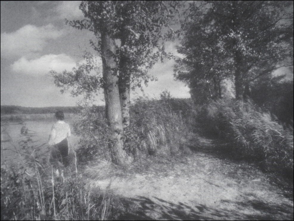 Summer Echoes